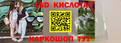 гашик Будённовск