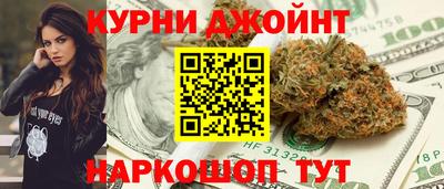 гашик Будённовск