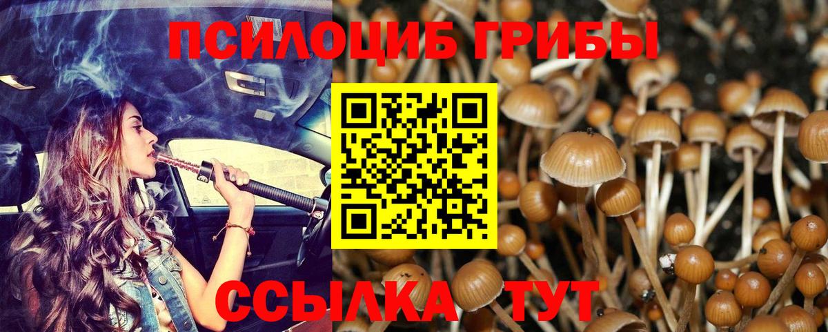 Кумертау  Галлюциногенные грибы Magic Shrooms  Вход с VPN 