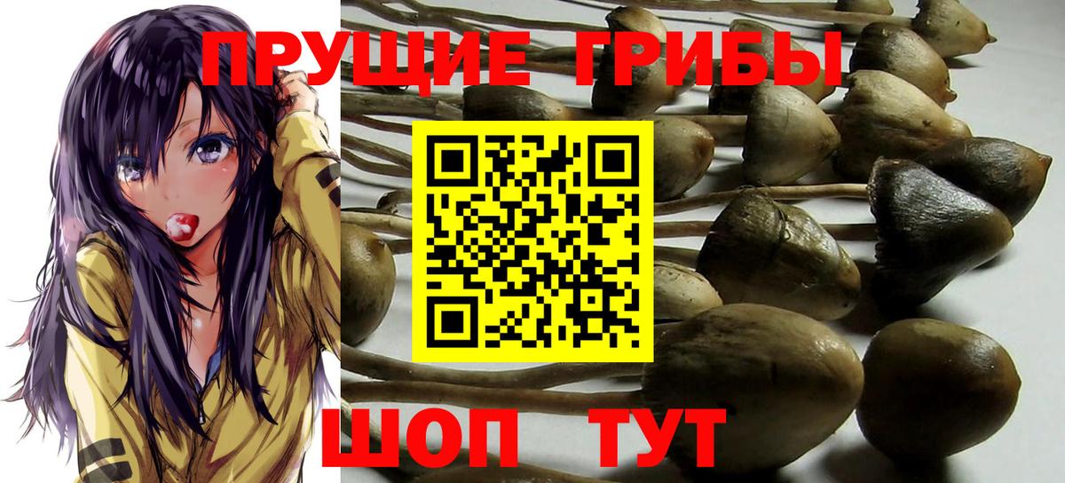 Псилоцибиновые грибы ЛСД Кумертау